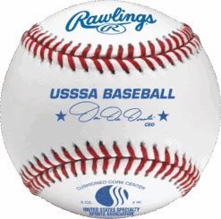 Rawlings USSSA Adult Game Baseball - R200USSSA