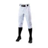 Rawlings Evoshield Salute Pinstripe Knicker Pants
