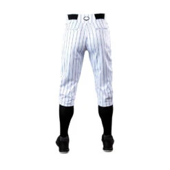 Rawlings Evoshield Salute Pinstripe Knicker Pants -Baseball Gear Store WB6017902 3 Salute Pinstripe Knicker Pant Mens NA.png.cq5dam.web .1200.1200