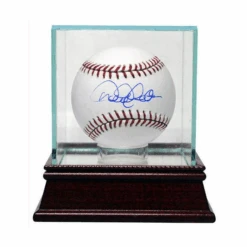 Single Baseball Glass Display Case