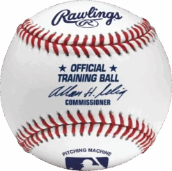 Rawlings Kevlar Stitch Leather Practice Baseball | ROPM